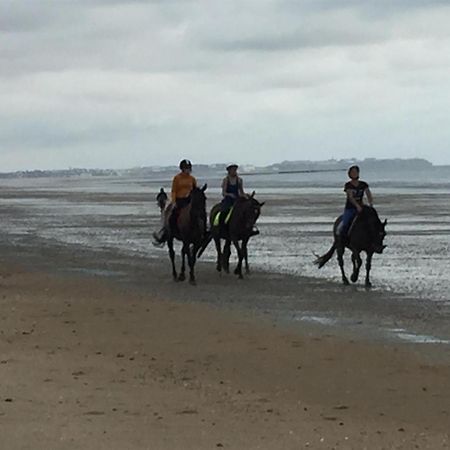 Decouverte D'Un Haras Proche Du Mont St Michel Hambye Екстер'єр фото