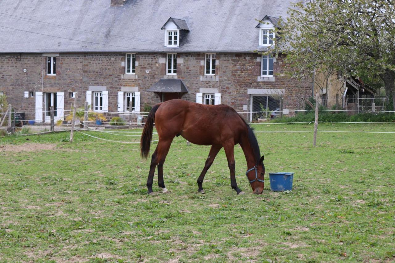 Decouverte D'Un Haras Proche Du Mont St Michel Hambye Екстер'єр фото
