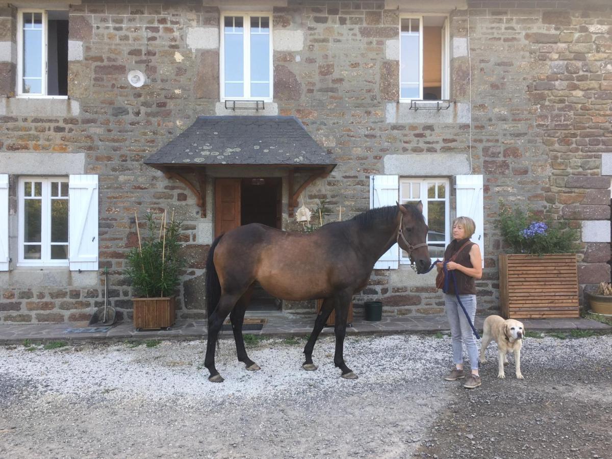 Decouverte D'Un Haras Proche Du Mont St Michel Hambye Екстер'єр фото