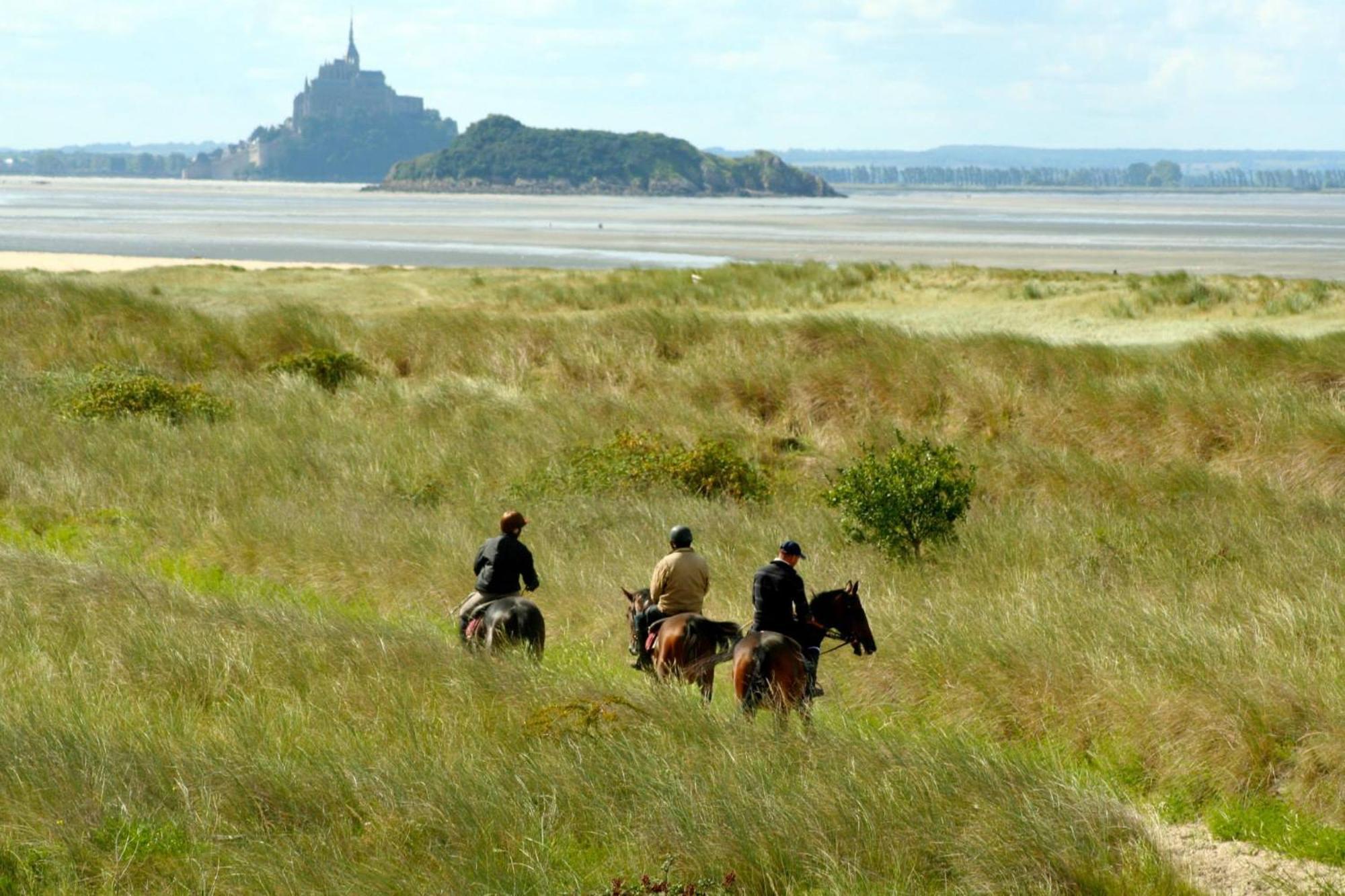 Decouverte D'Un Haras Proche Du Mont St Michel Hambye Екстер'єр фото