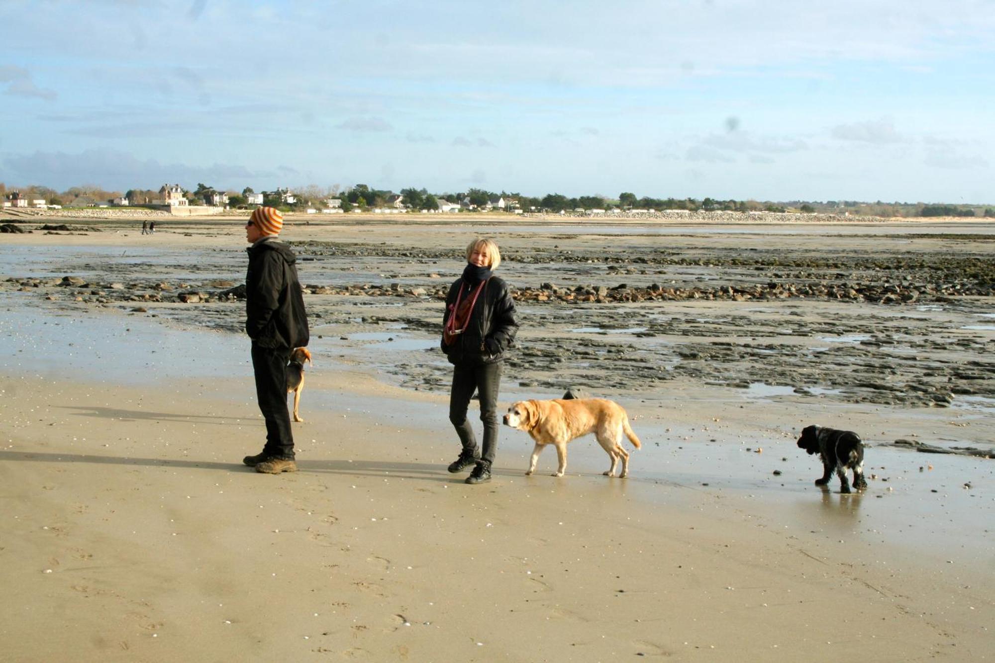 Decouverte D'Un Haras Proche Du Mont St Michel Hambye Екстер'єр фото